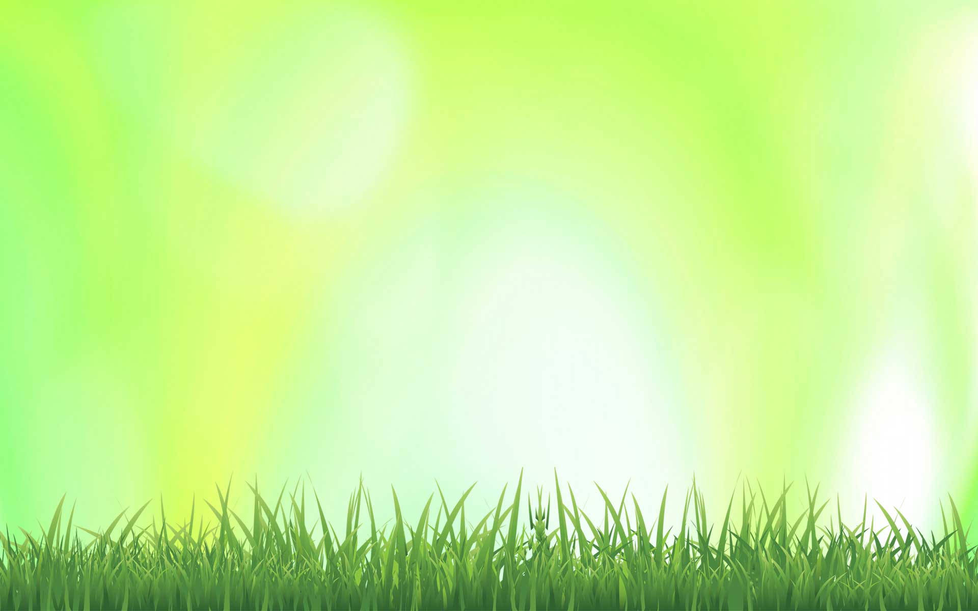 Summer Grass Background